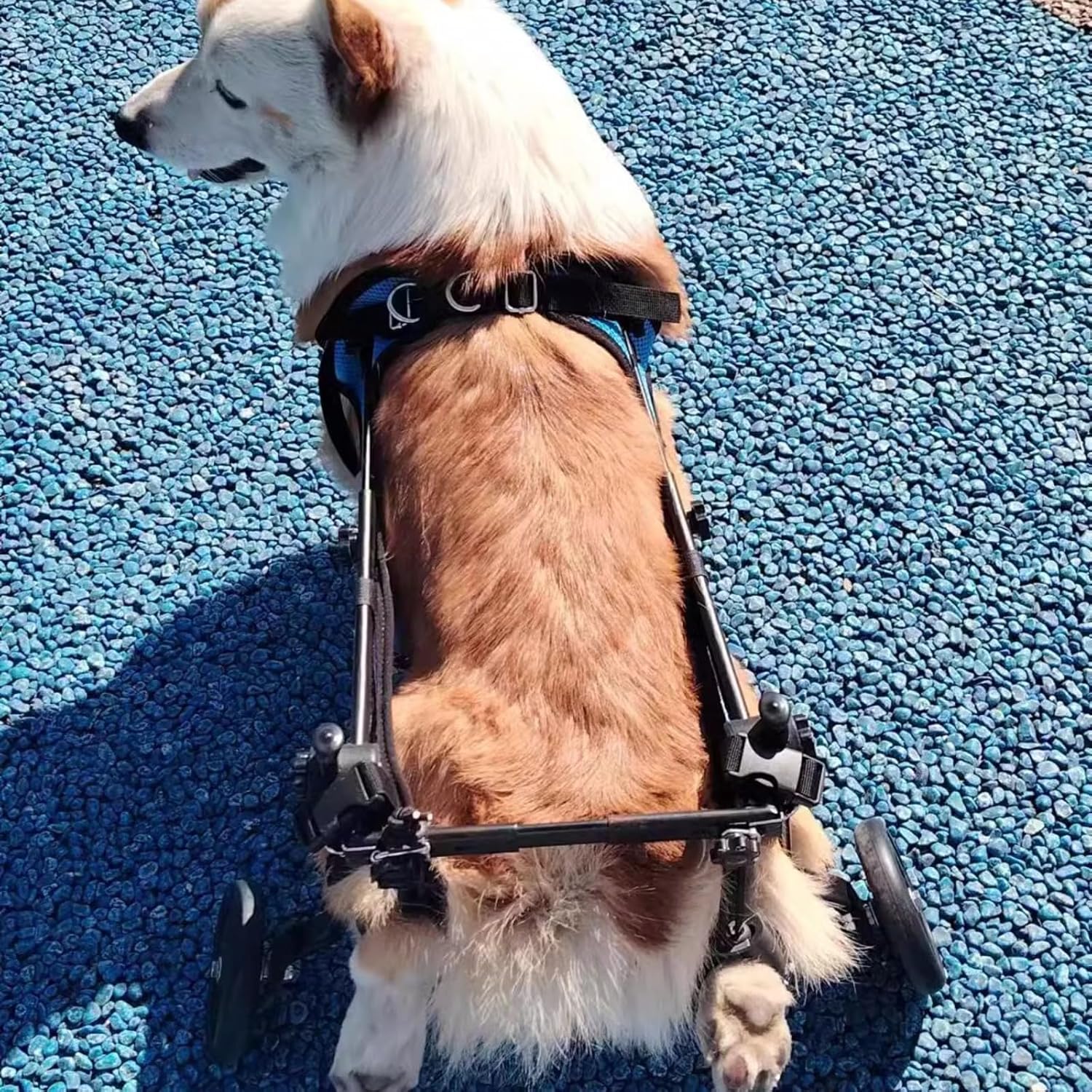 犬用車椅子 ペット/猫/犬カート 車椅子 サイズ調整可能 ペット用
